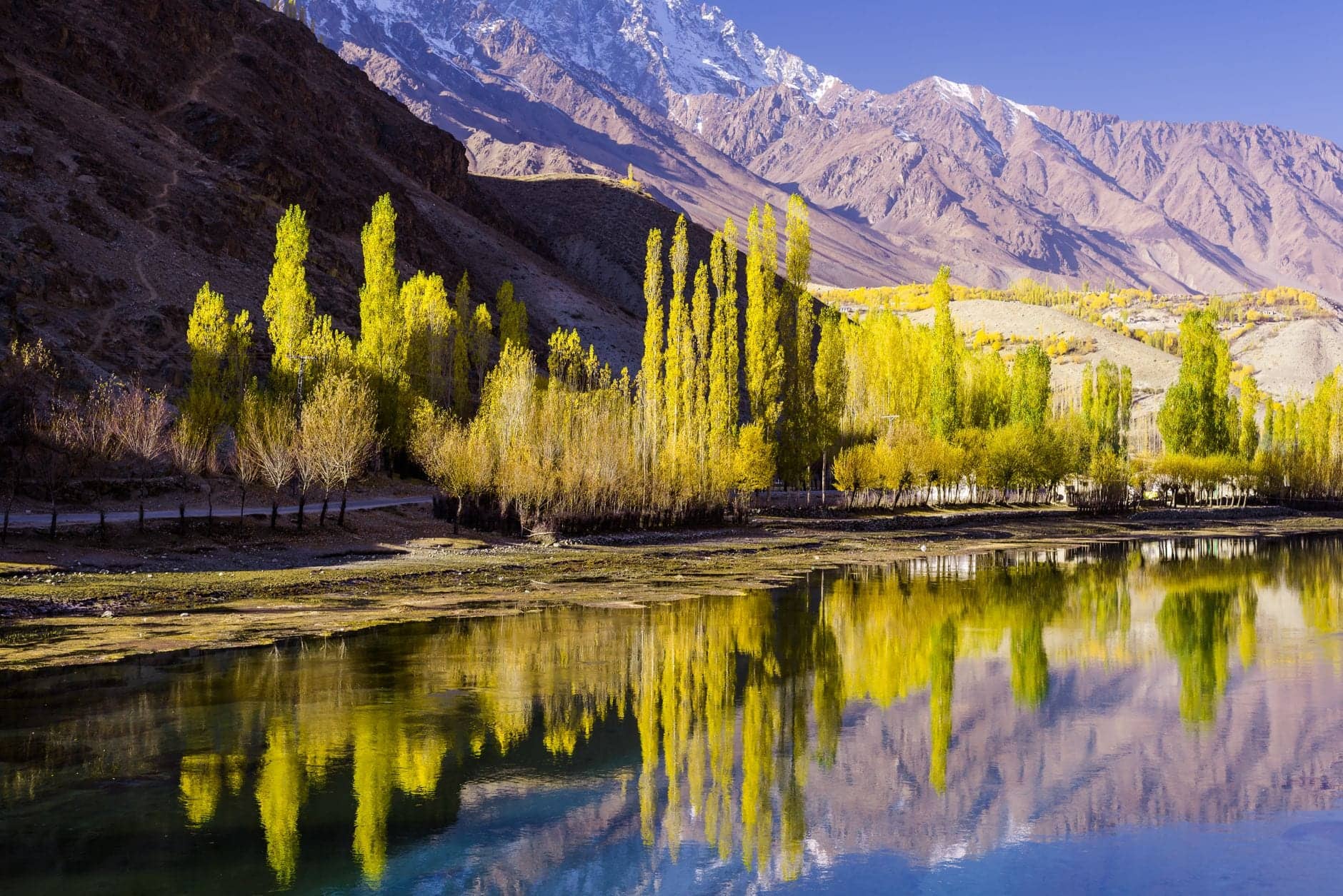 Naltar Valley