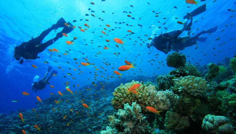 Marine Adventure