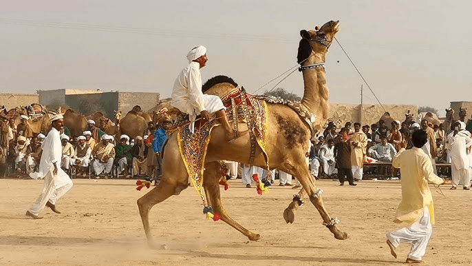 Sibi Mela