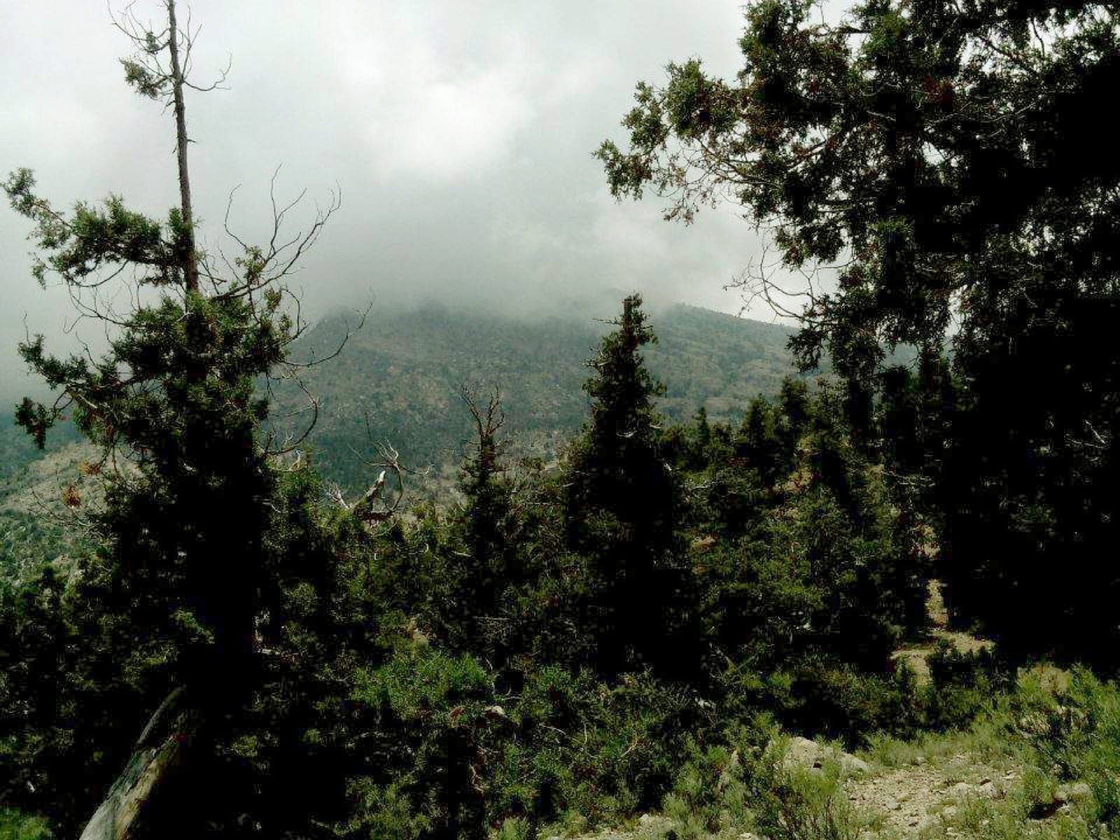 Quetta & Ziarat