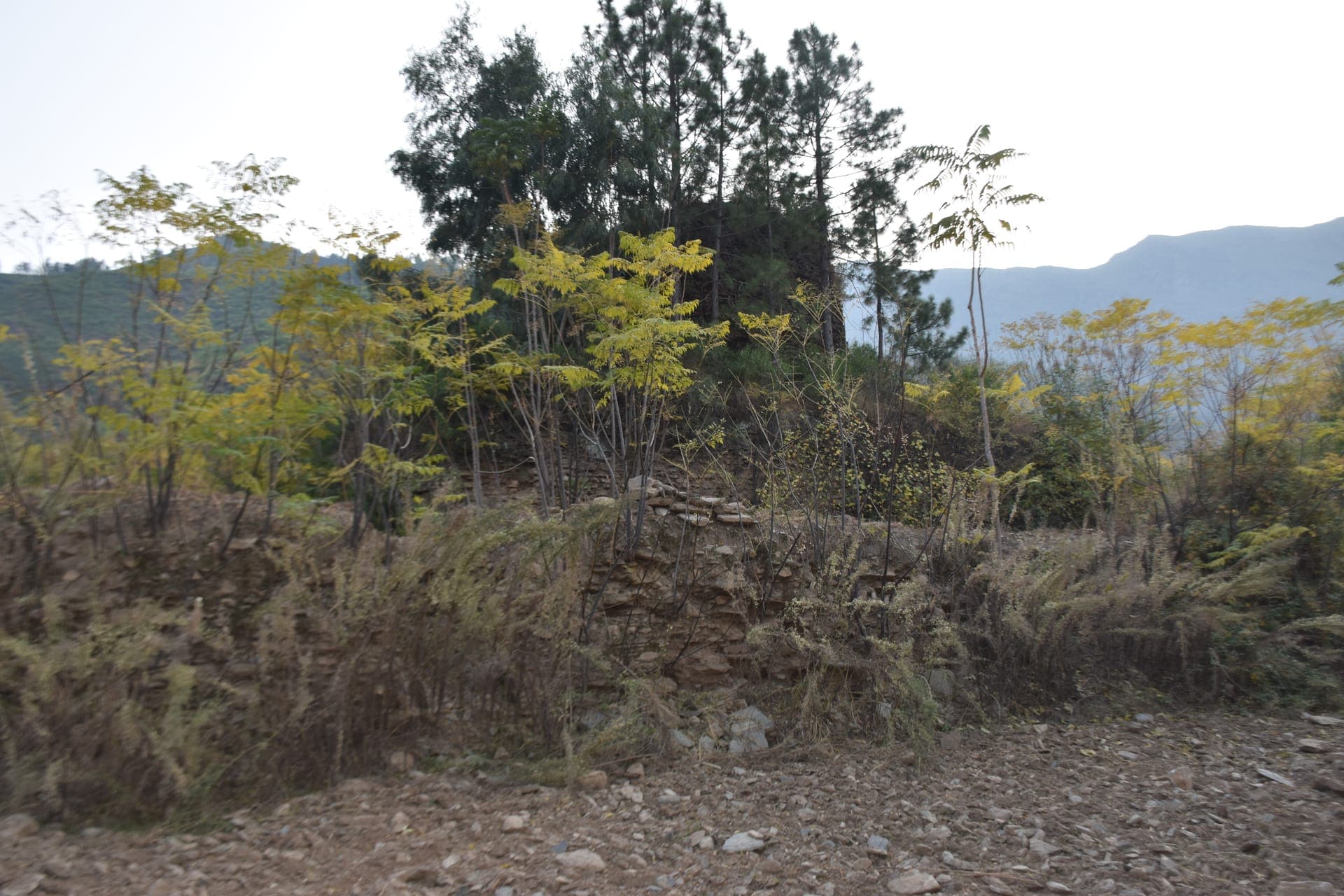 Gunyar Stupa, Malakand