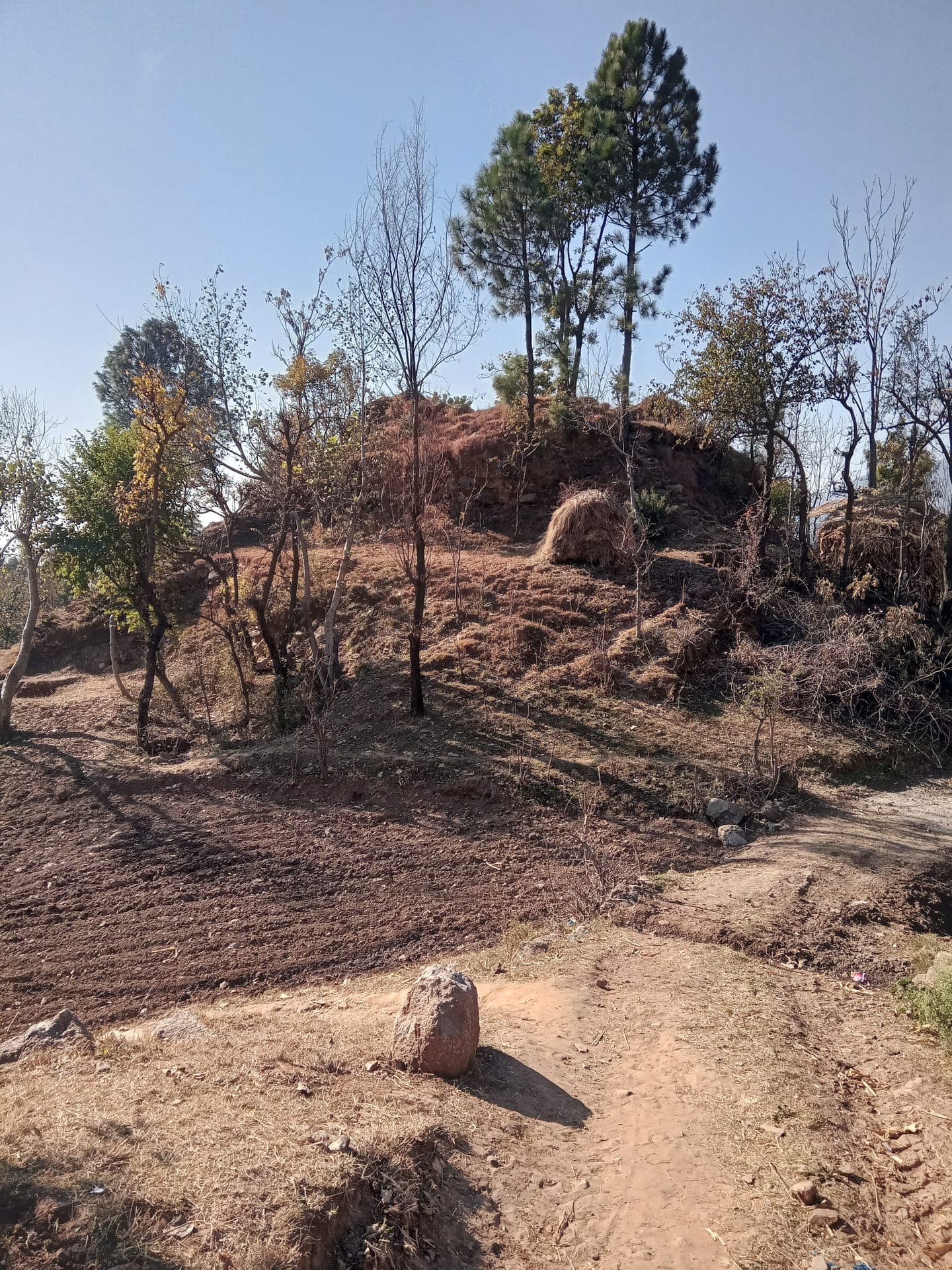 Zar Dheri, Mansehra