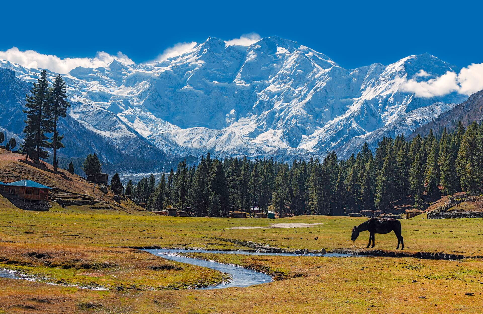 Fairy Meadows & Nanga Parbat Viewpoint Trek