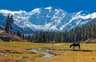 Fairy Meadows