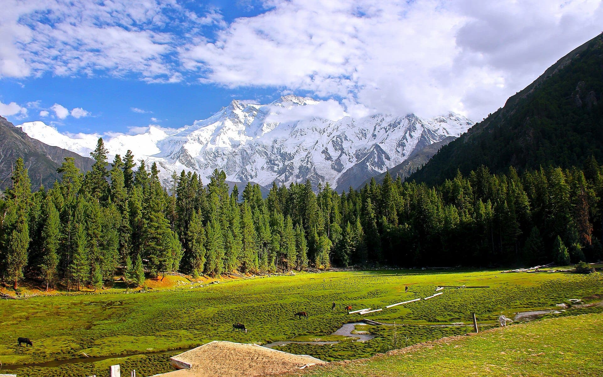 Fairy Meadows & Nanga Parbat Viewpoint Trek + Hunza