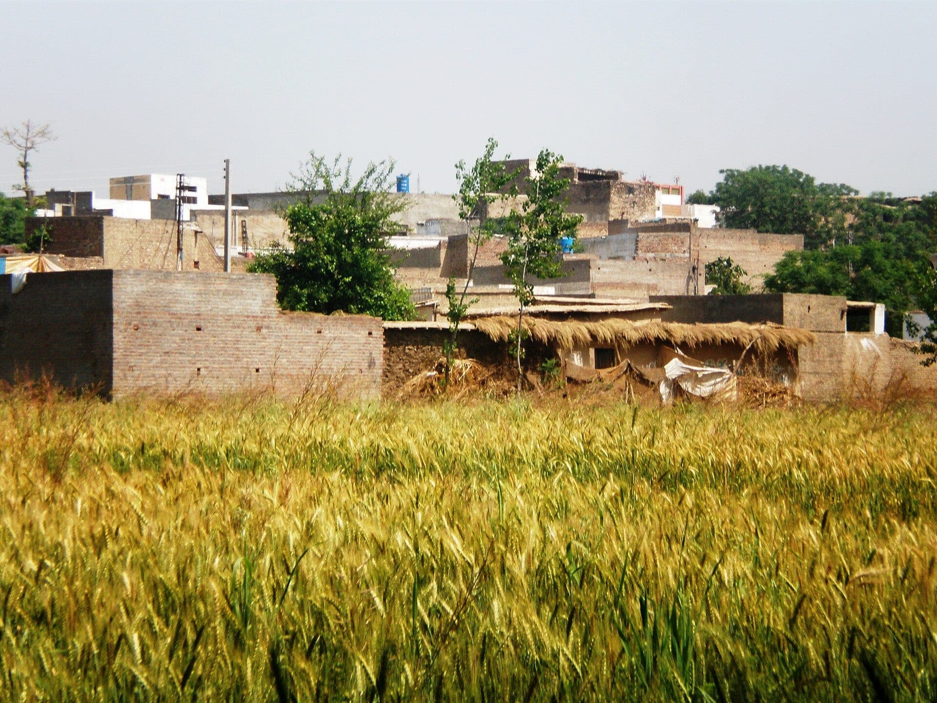 Sahri Bahlol, Mardan