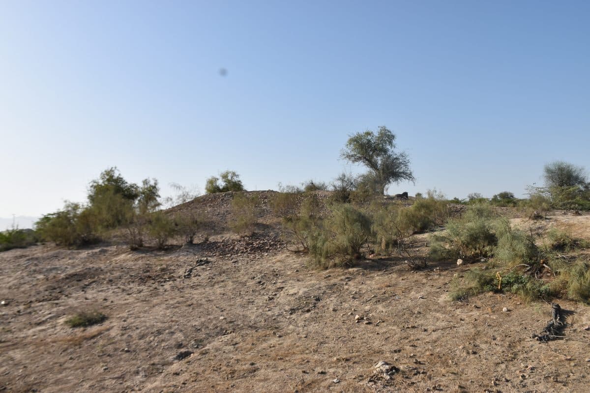 Mound Amri