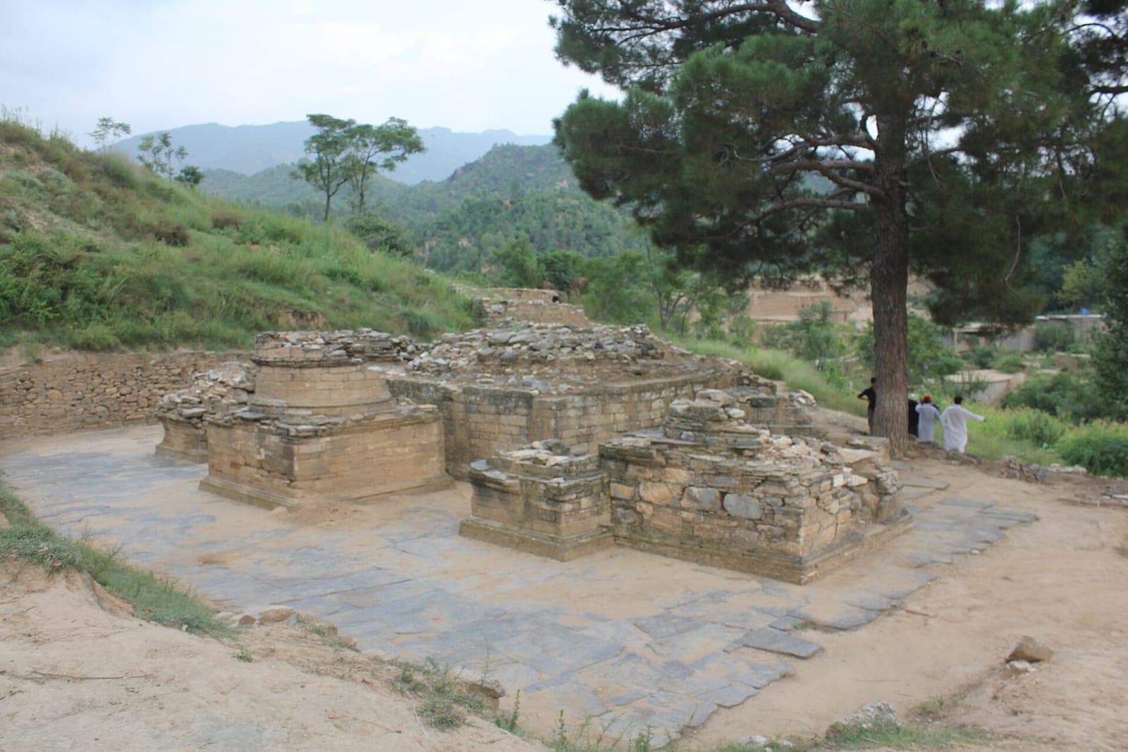 Panr Site