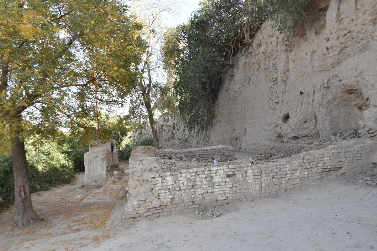 Sehwan Fort