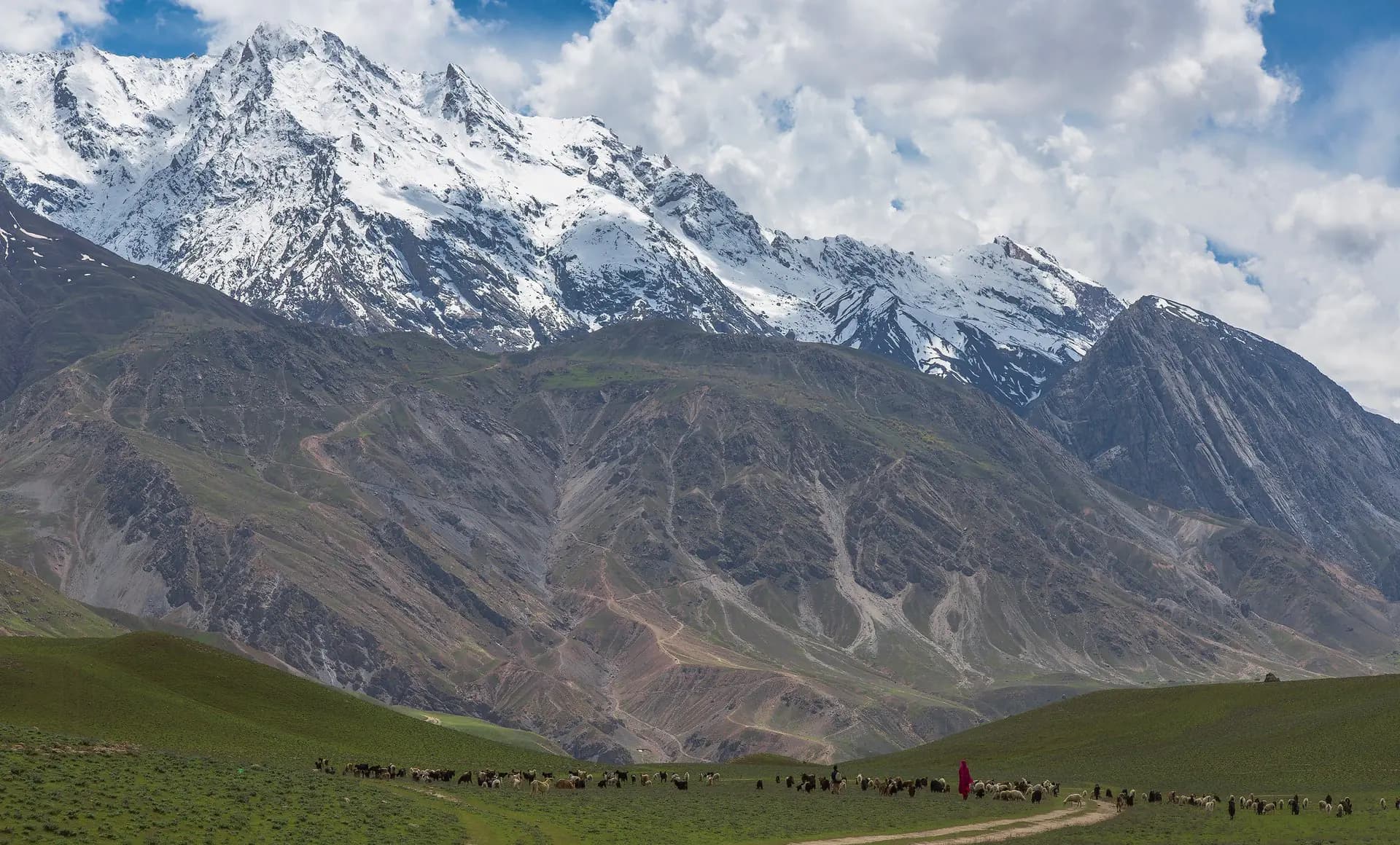 Chitral Gol National Park