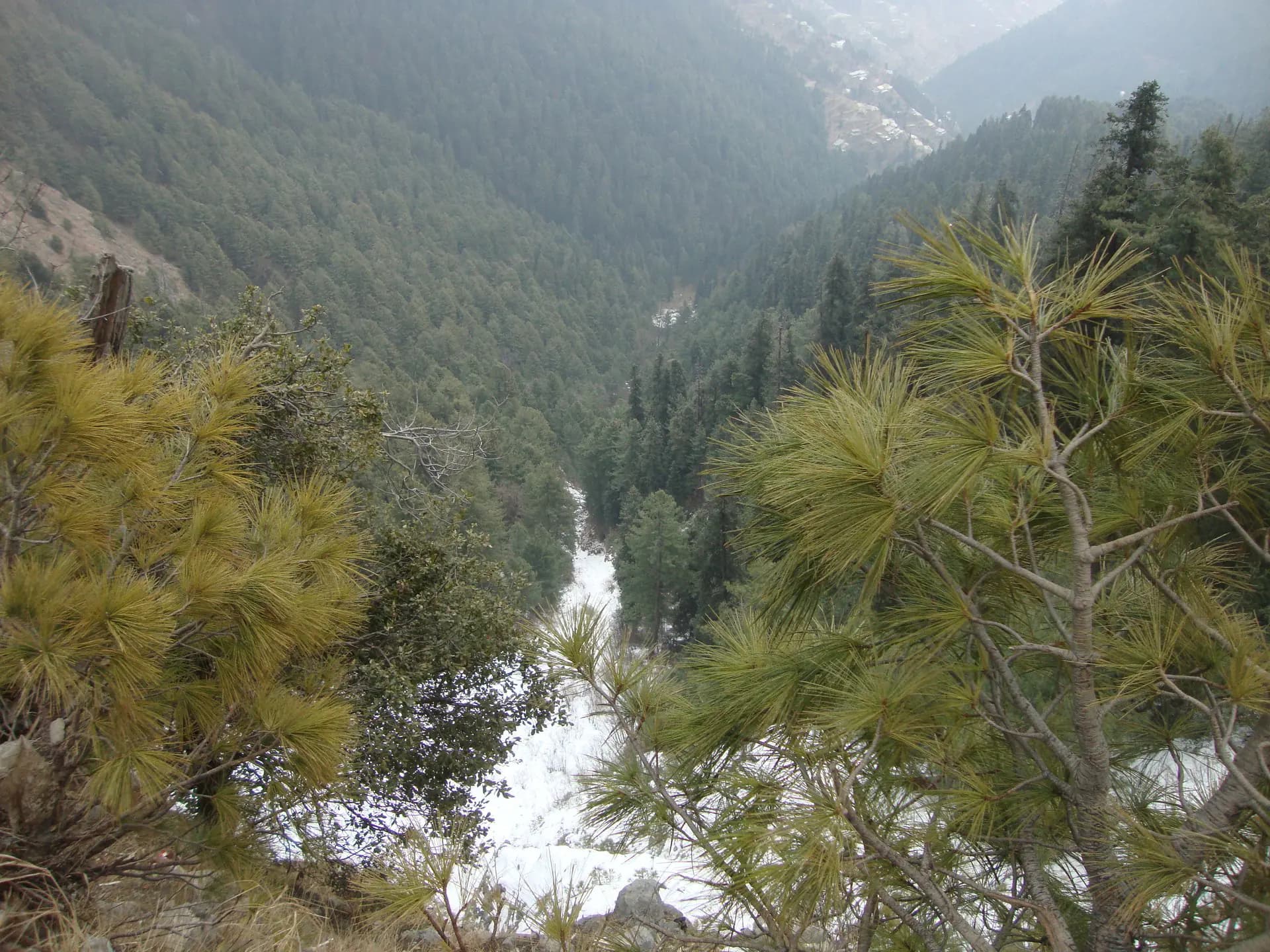 Ayubia Day Trip From Islamabad