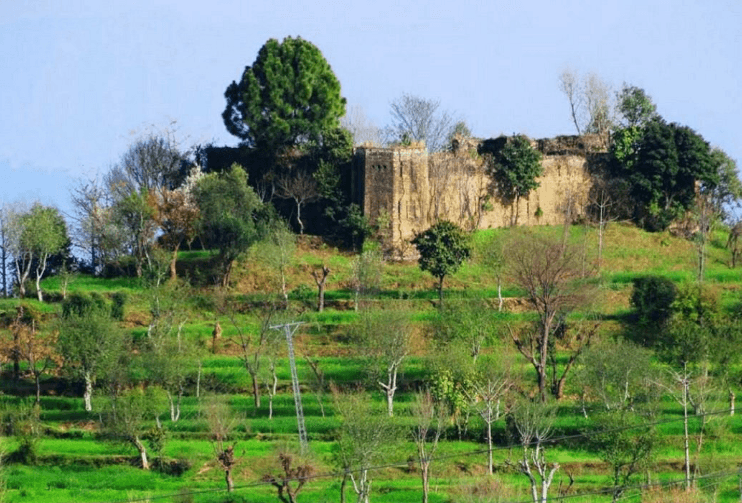 Baral Fort, Palandri