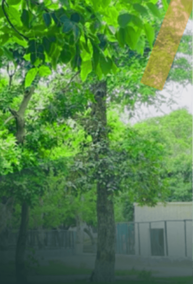 Chinji Reserve Forest
