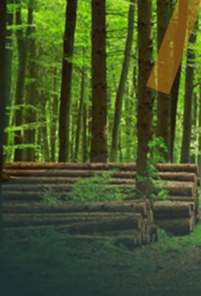 Kheri Murat Reserve Forest