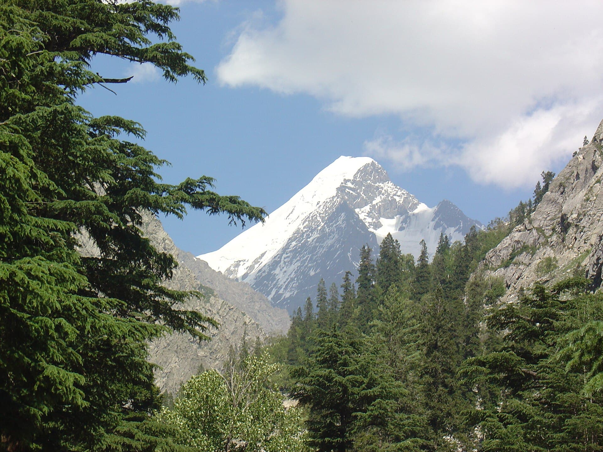 Falak Sar