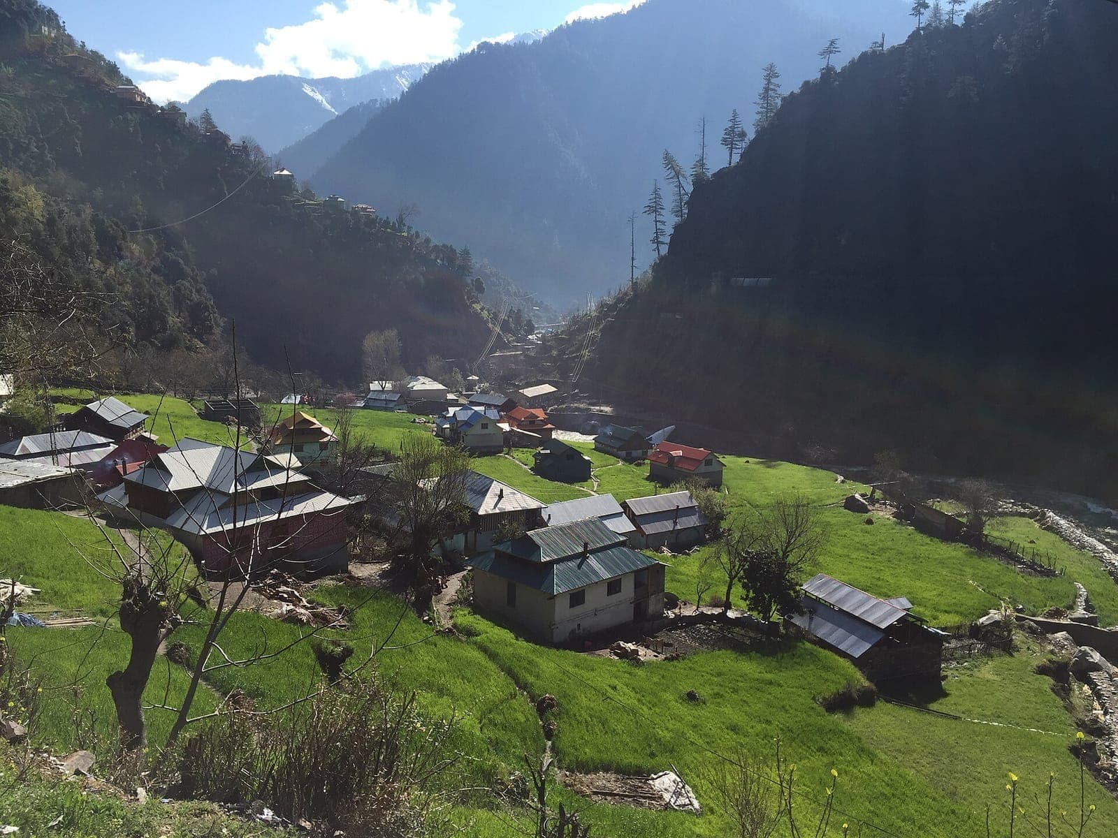 Kundal Shahi