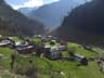 Kundal Shahi