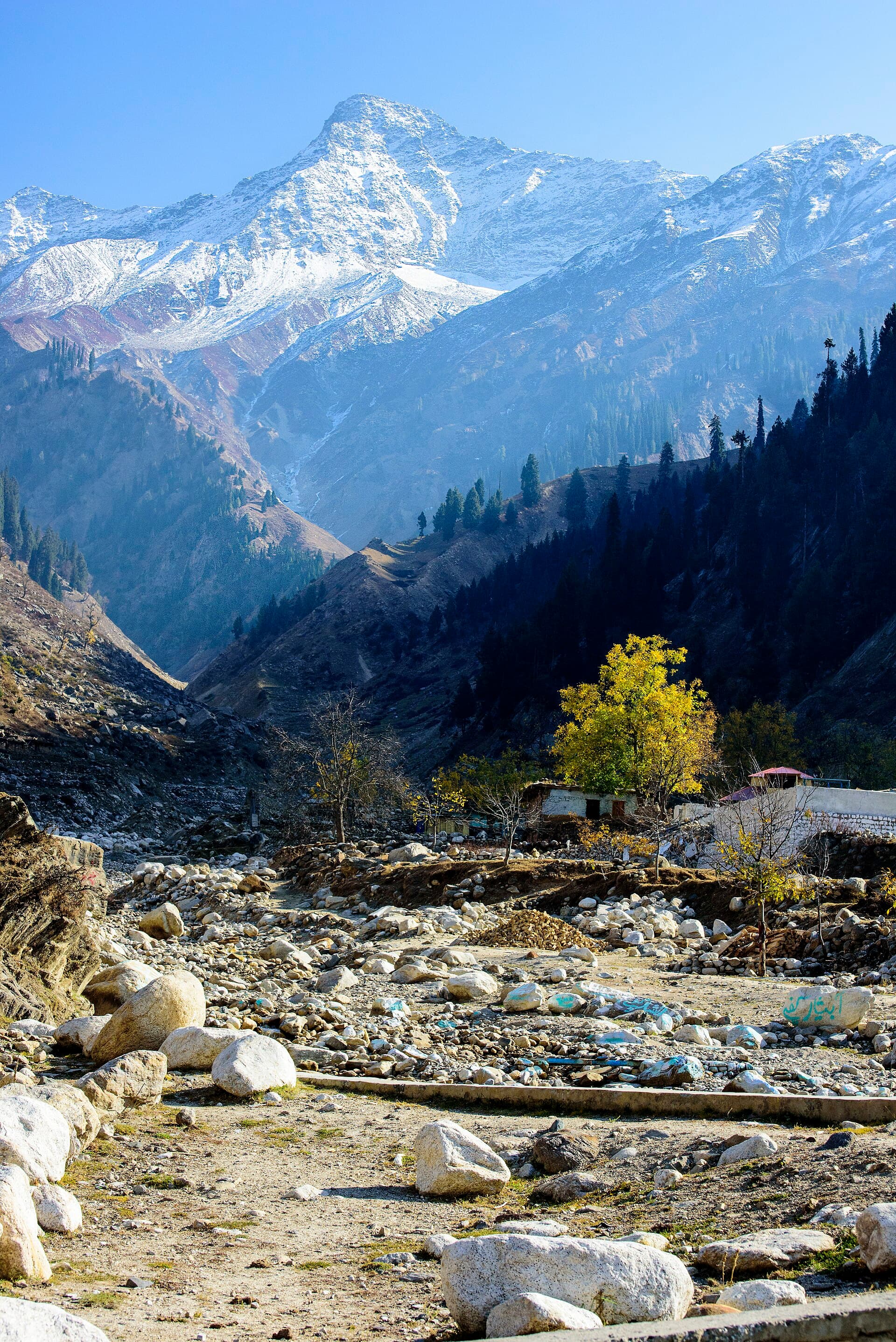 Malika Parbat