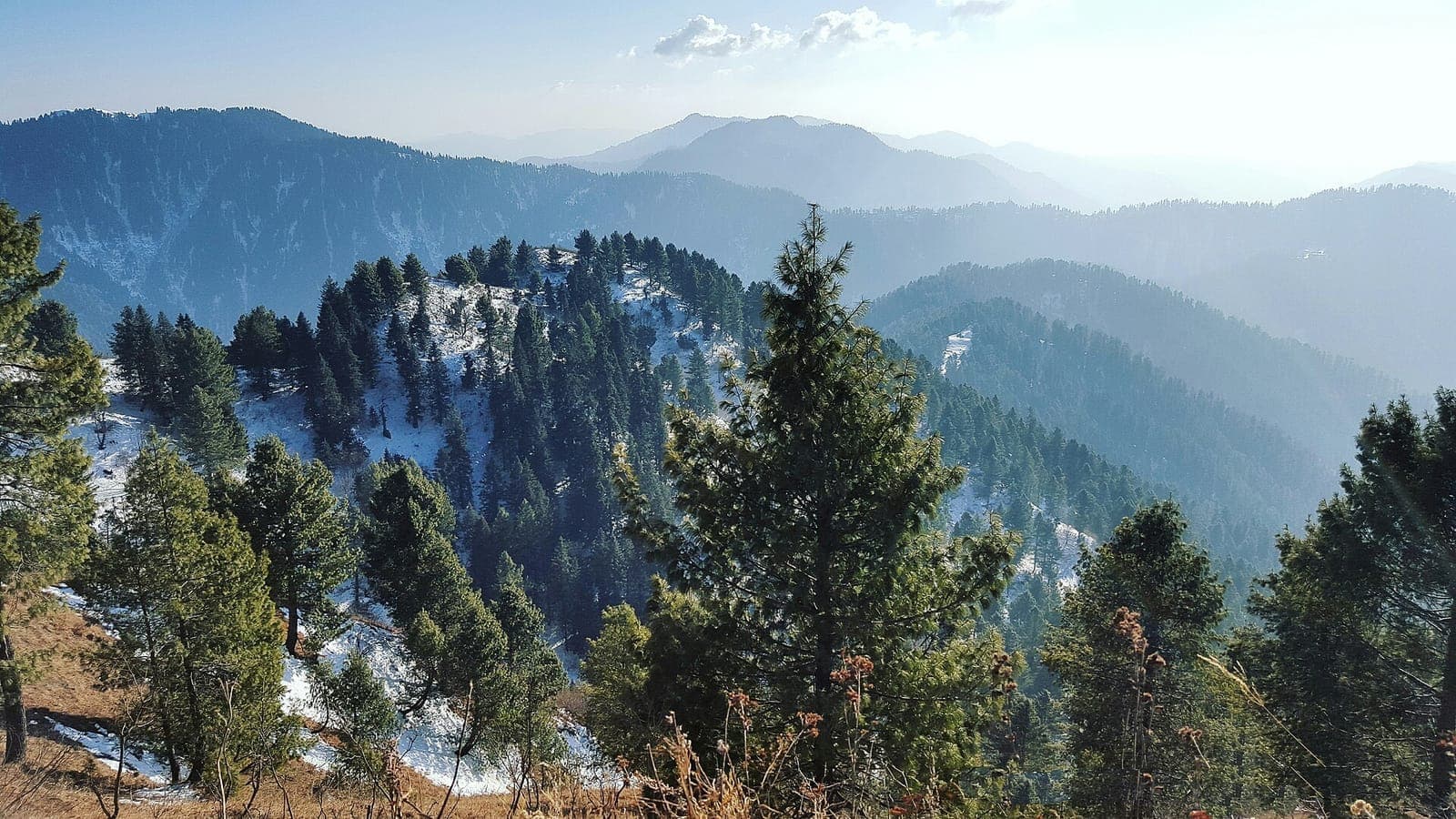 Miranjani