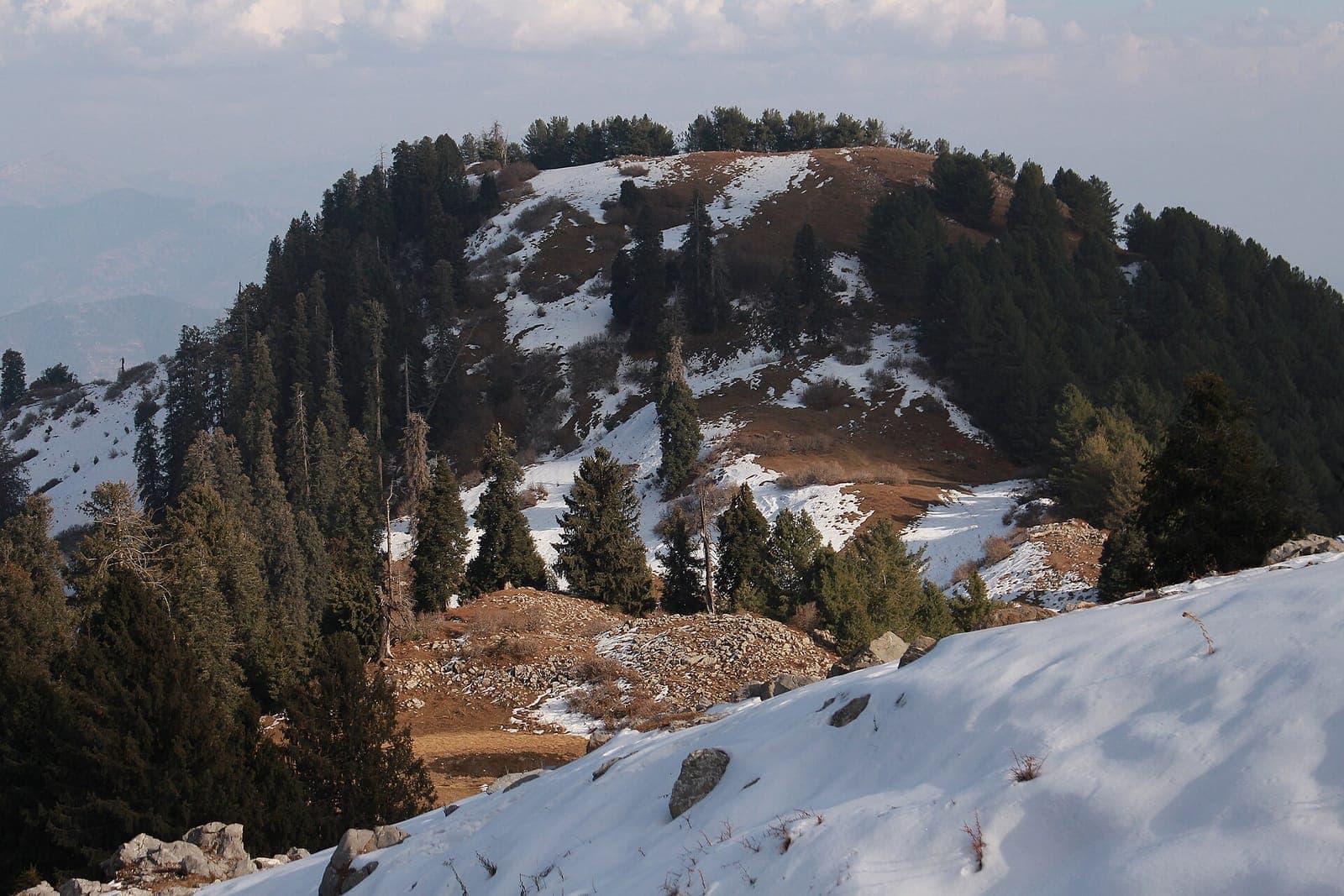 Mushkpuri Top