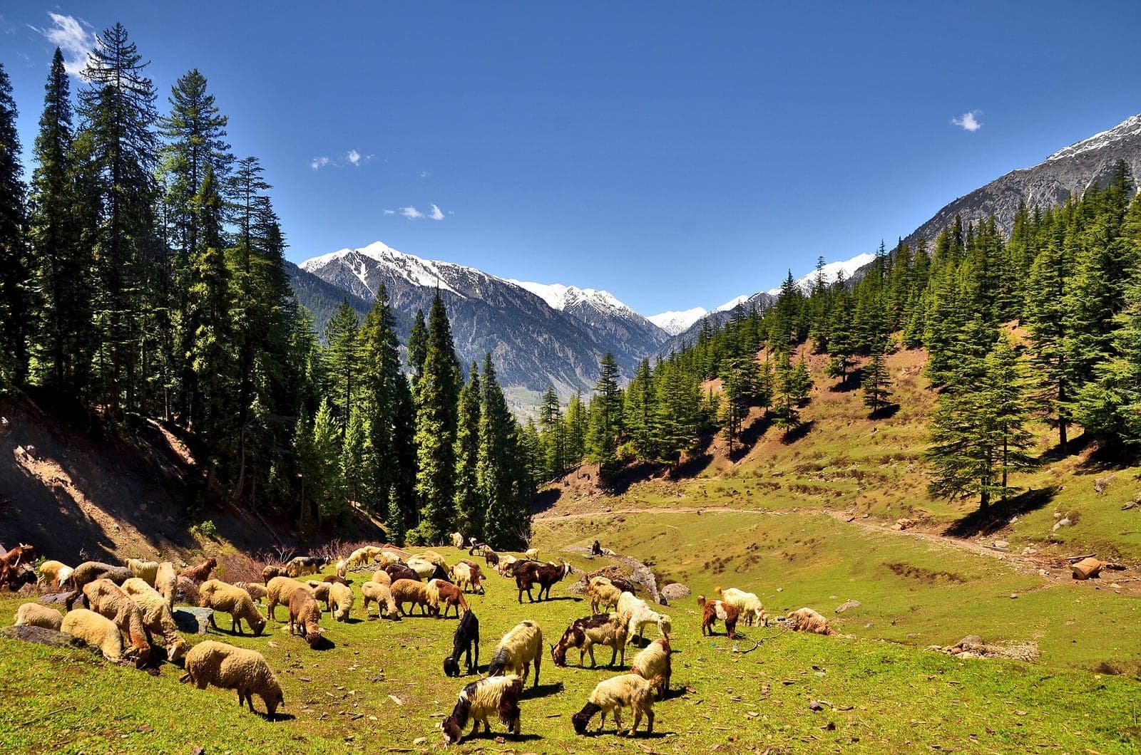 Utror Valley