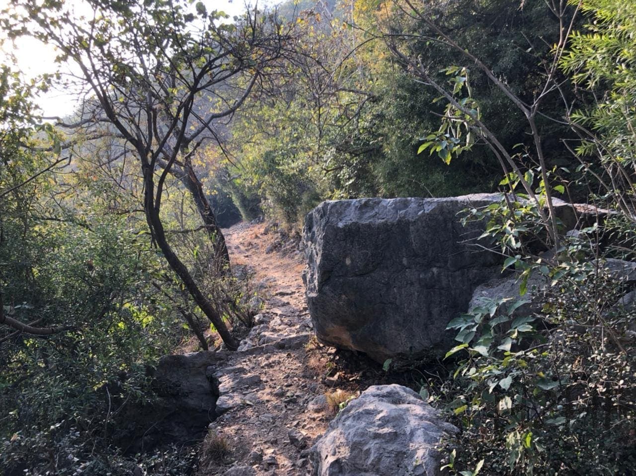 A rocky section of the path climbing through scrub in the Margalla Hills.