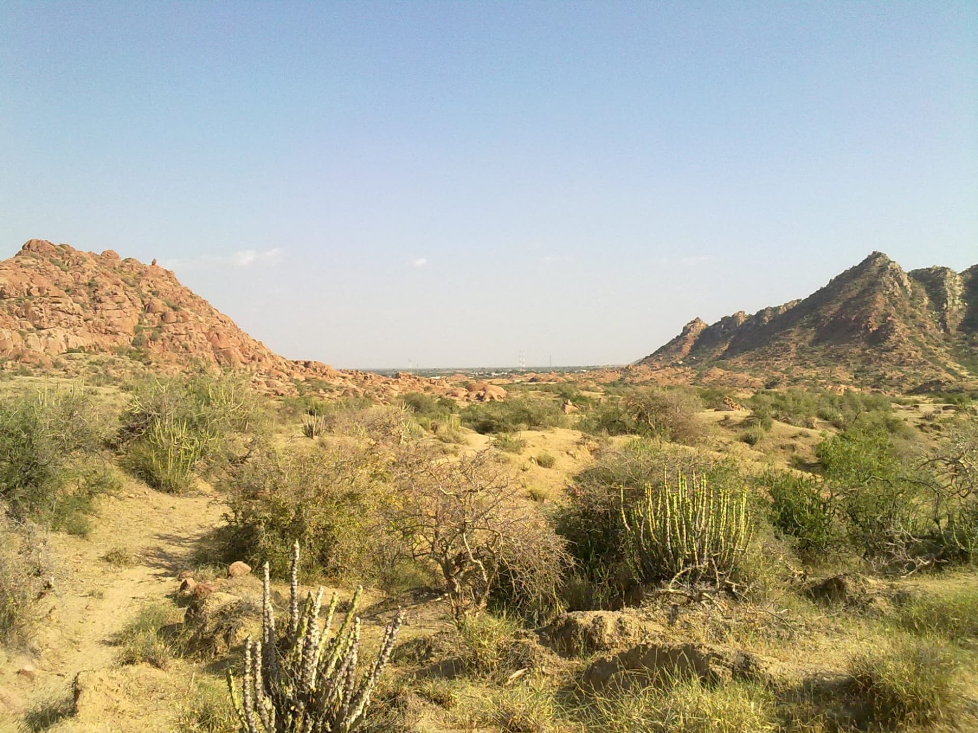 Tharparkar & Nagarparkar
