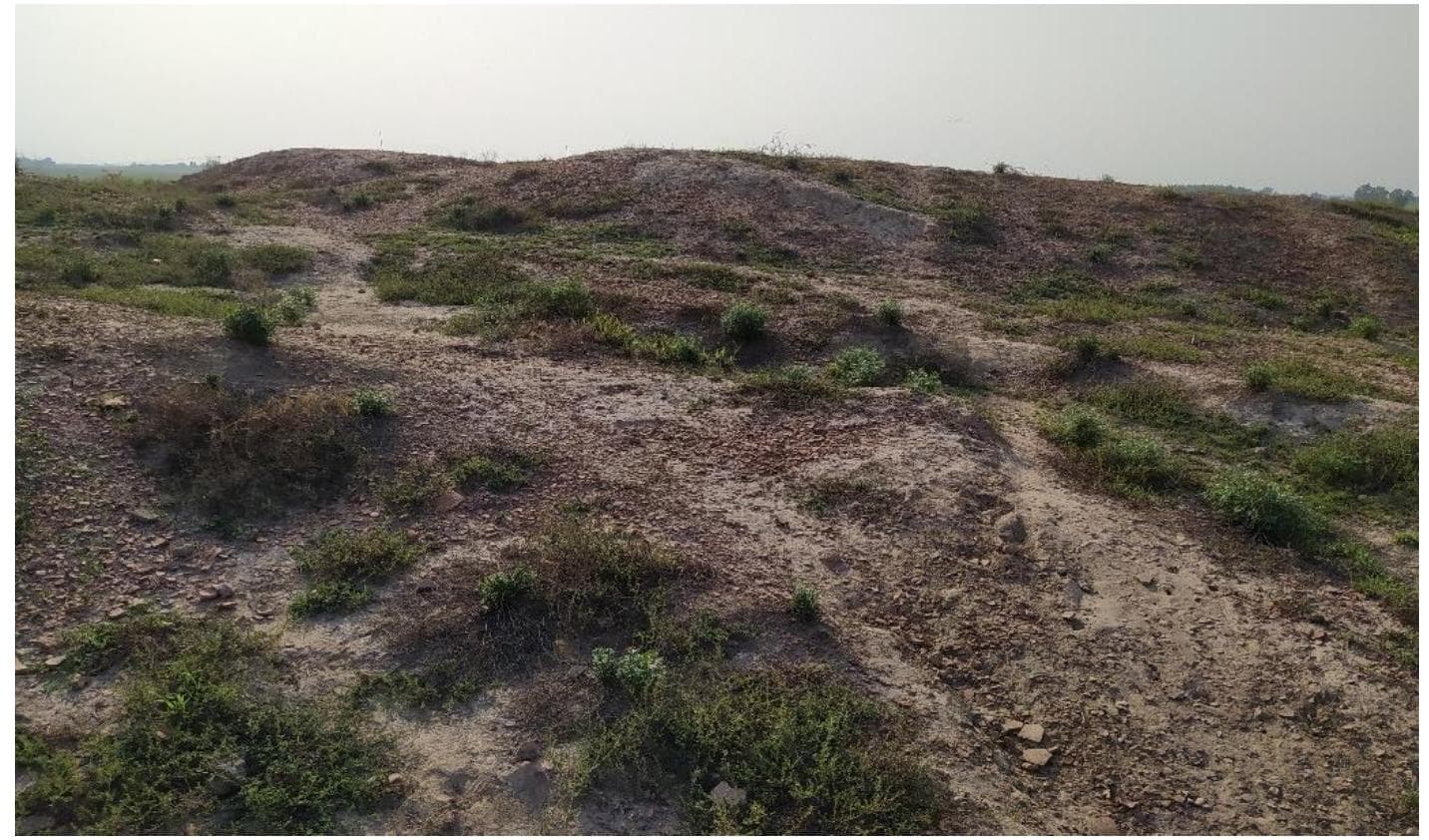 Rokhri Site