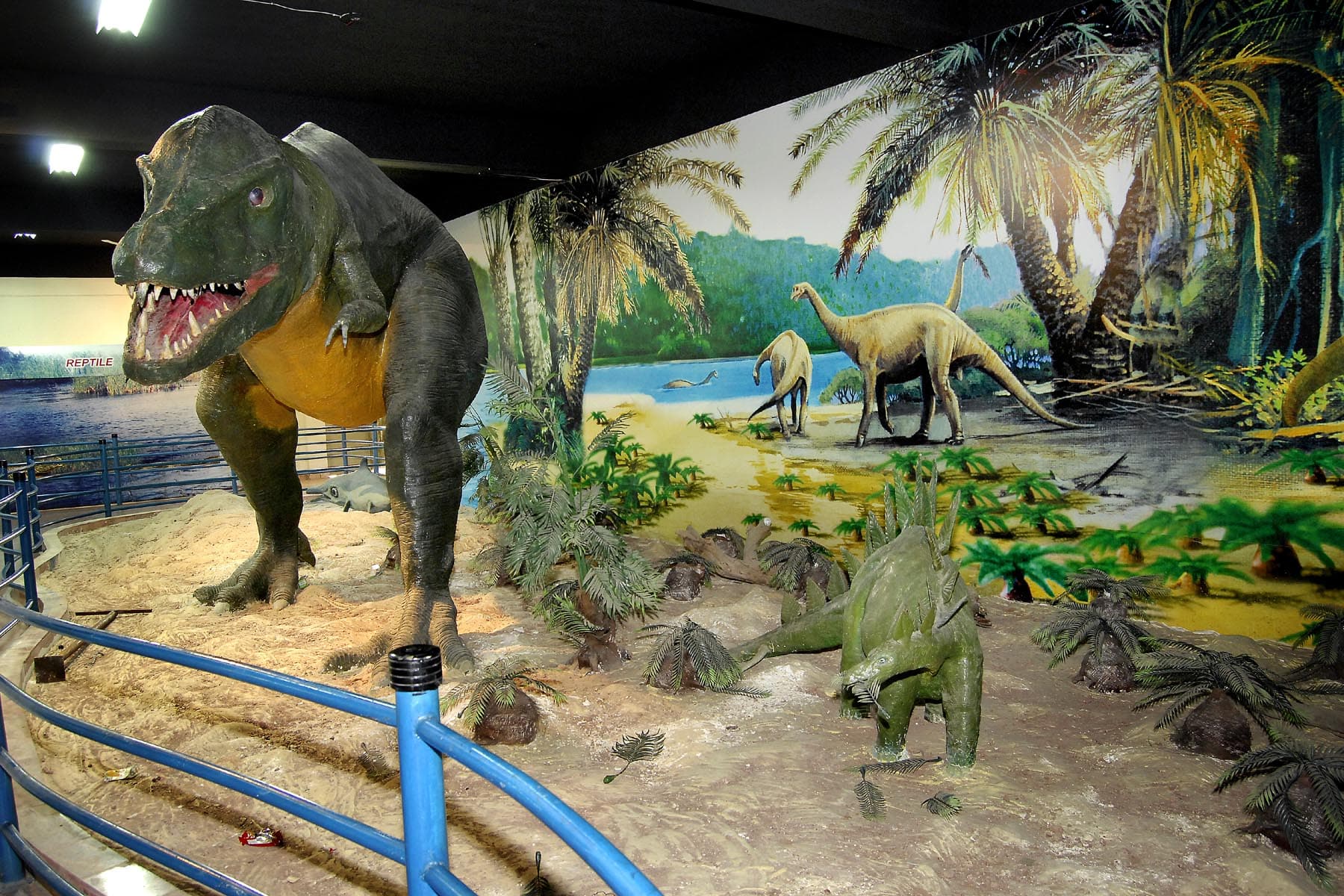 Pakistan Museum of Natural History