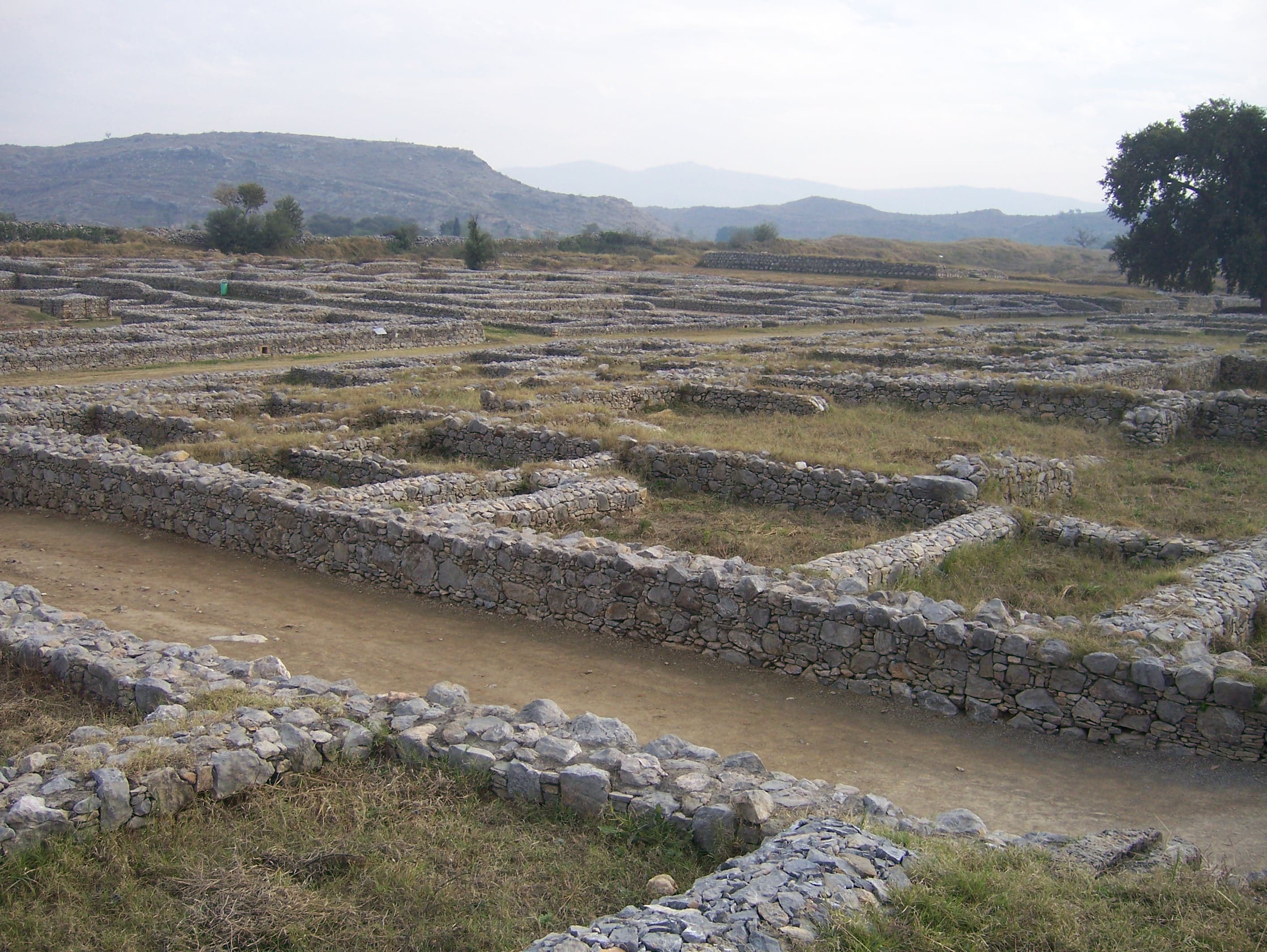 Sirkap City