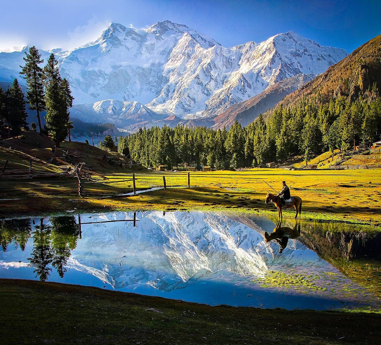 Fairy Meadows beneath Nanga Parbat