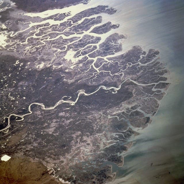 Delta or return