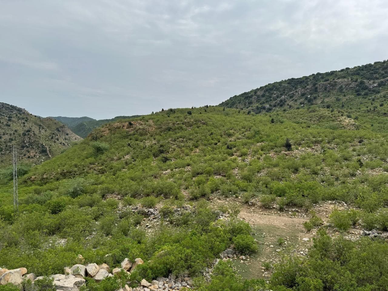 Green scrub-covered hills and a valley under a grey monsoon sky