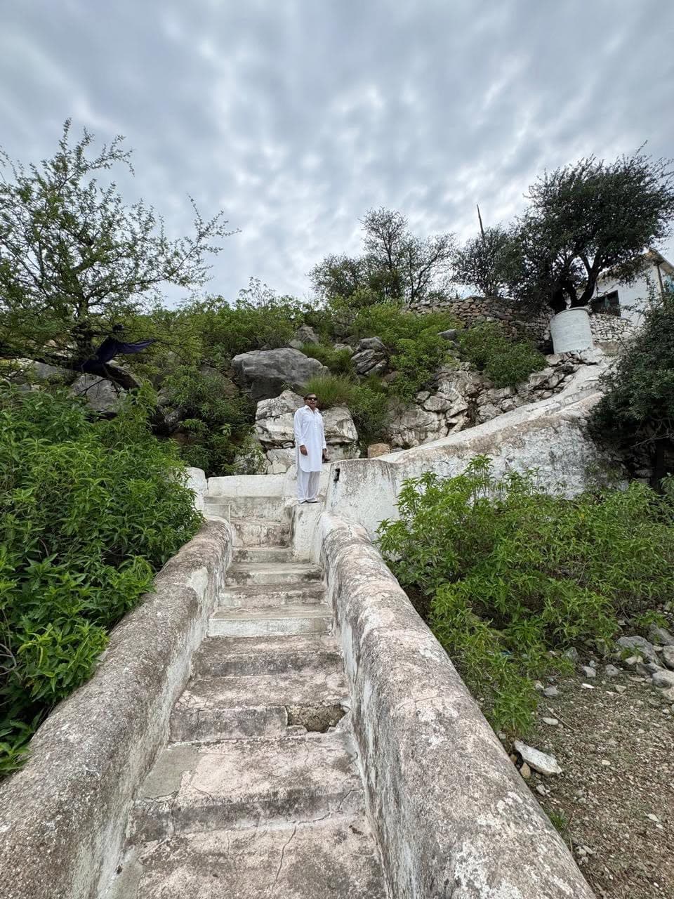 A man standing at the top of a flight of old whitewashed steps between green bushes