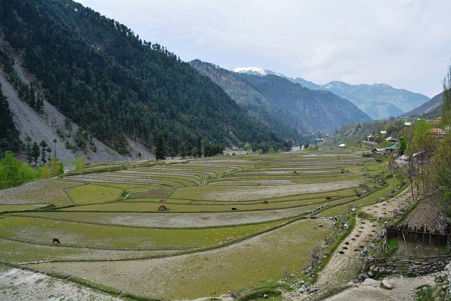 Leepa Valley