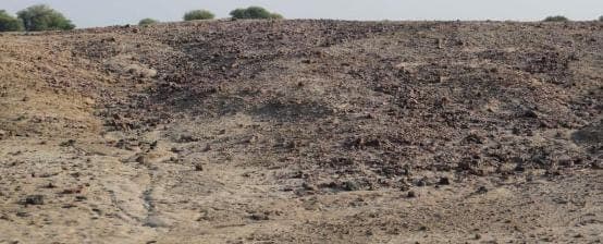 Qasim Keerio (Gujri) Site, Nawabshah