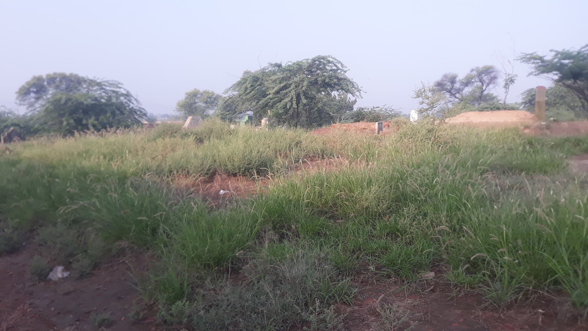 Kala Shah Kaku Mound